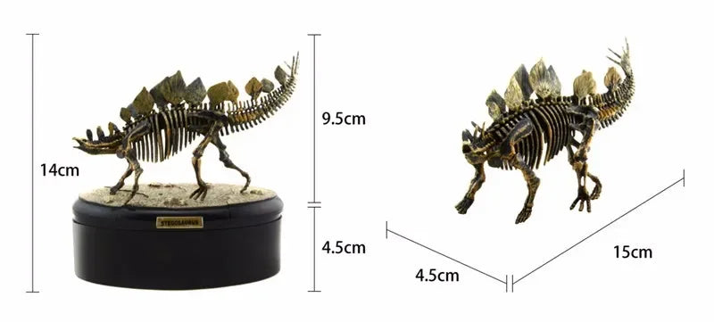 Dinosaur Excavation 3D Puzzle Toy Skeleton Fossil Model Chiosaurus