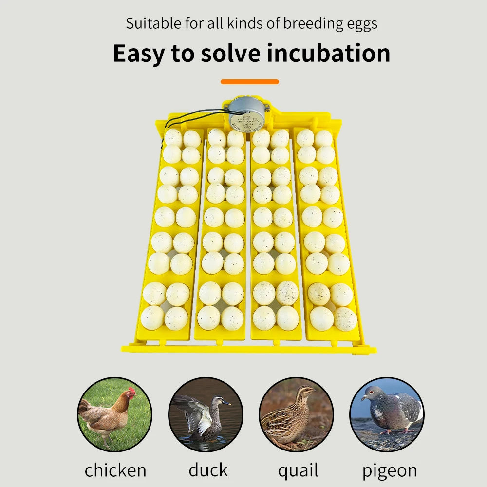 16/24 Eggs Automatic Incubator with Egg Turning AC220V for Chicken and Quail