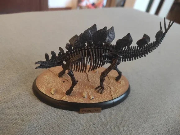 Dinosaur Excavation 3D Puzzle Toy Skeleton Fossil Model Chiosaurus