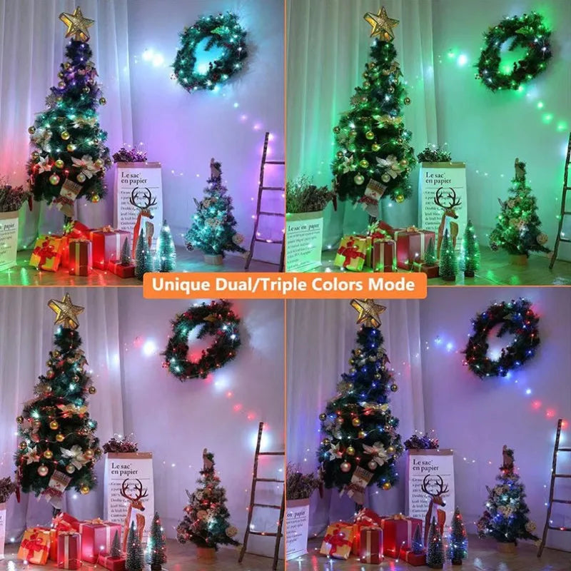 CowLost | product_id-dreamcolor-rgbic-usb-bluetooth-app-diy-led-fairy-string-lights-for-christmas-wedding-party |11
