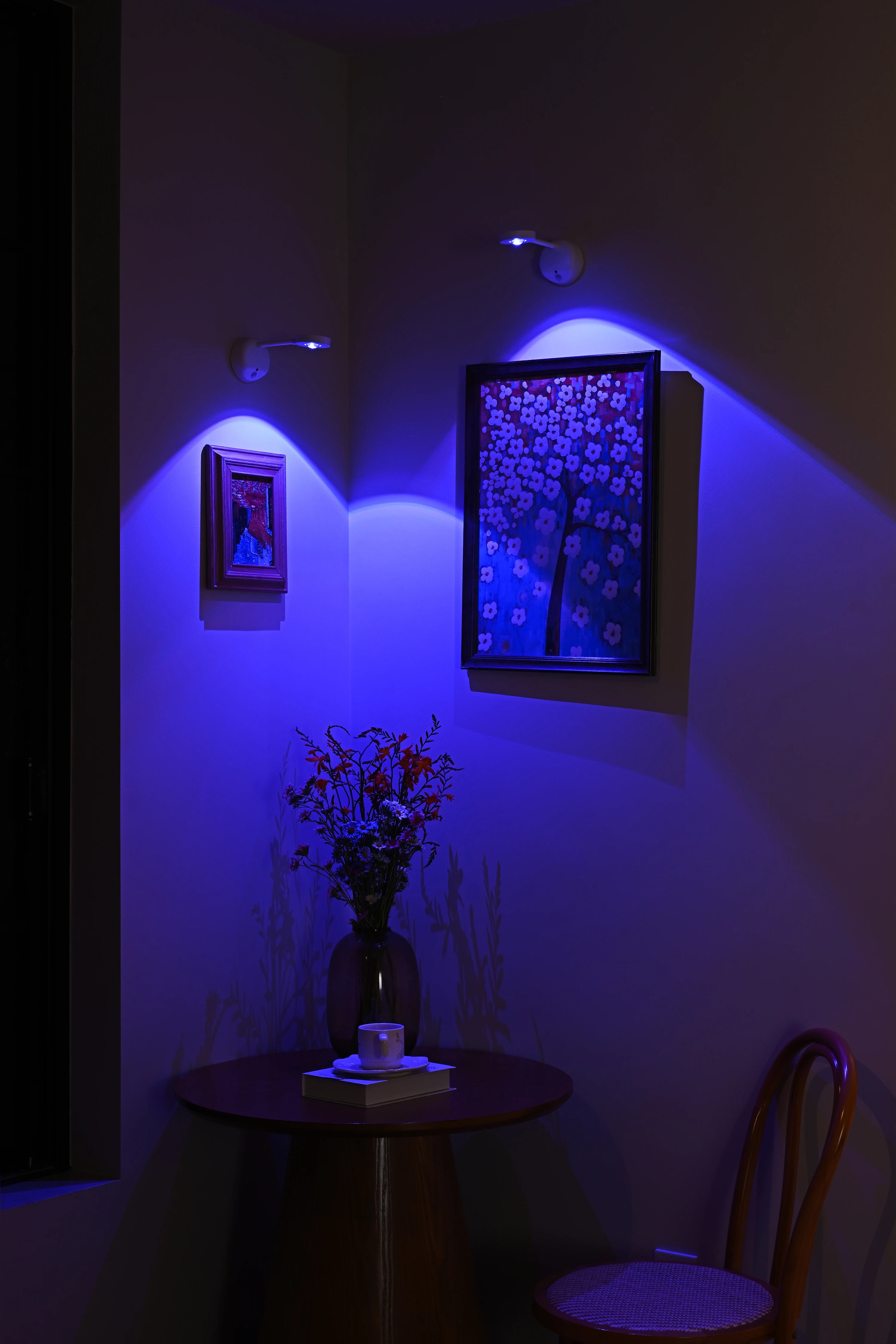 CowLost | product_id-usb-rechargeable-wireless-human-sensing-dimmable-rgb-led-wall-spotlight-for-paintings |18