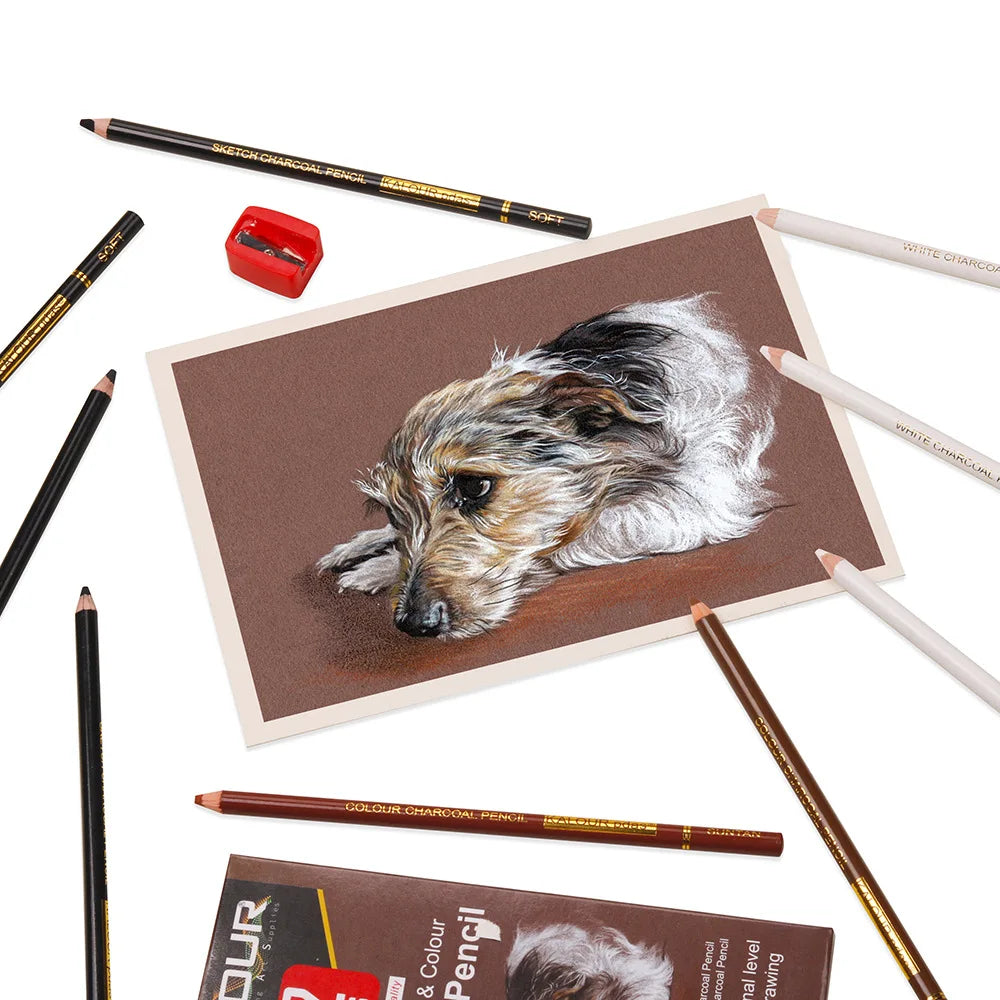 CowLost | charcoal-pencils-product_id-kalour-6-12-carbon-and-white-charcoal-highlight-pencils-for-art-drawing |15