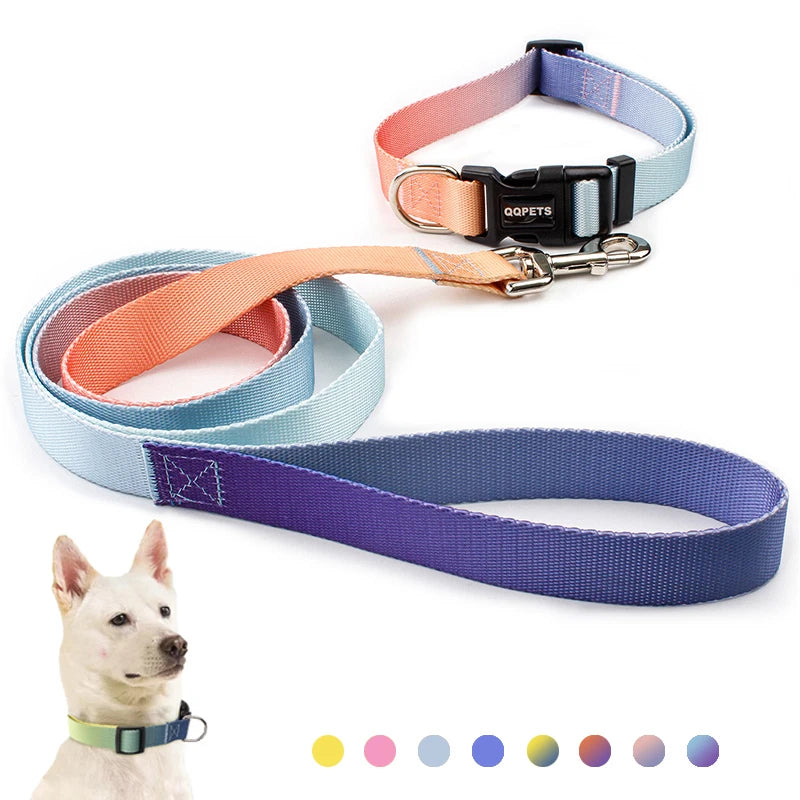 CowLost | dog-diapers-adjustable-nylon-dog-collar-and-leash-set |1