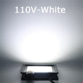 CowLost | 10w-20w-30w-50w-100w-induction-led-flood-light-with-adjustable-pir-sensor |19