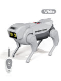 CowLost | product_id-remote-control-mechanical-spray-dog-robot-toy-for-kids |17