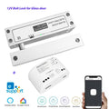 CowLost | locks-keys-product_id-ewelink-wifi-smart-electric-lock-for-right-single-glass-door-with-android-ios-app-remote-control |20