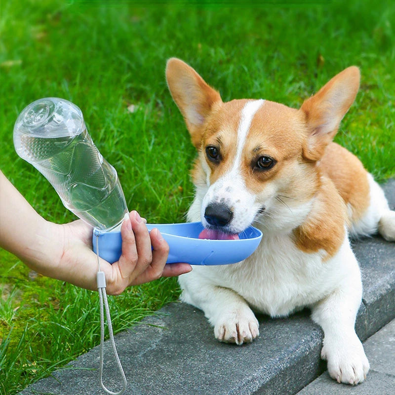 CowLost | dog-diaper-pads-liners-portable-450ml-dog-travel-water-bowl |1
