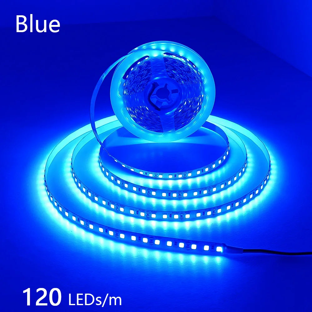 CowLost | 2835-5m-300-600-1200leds-led-strip-dc12v-24v |31