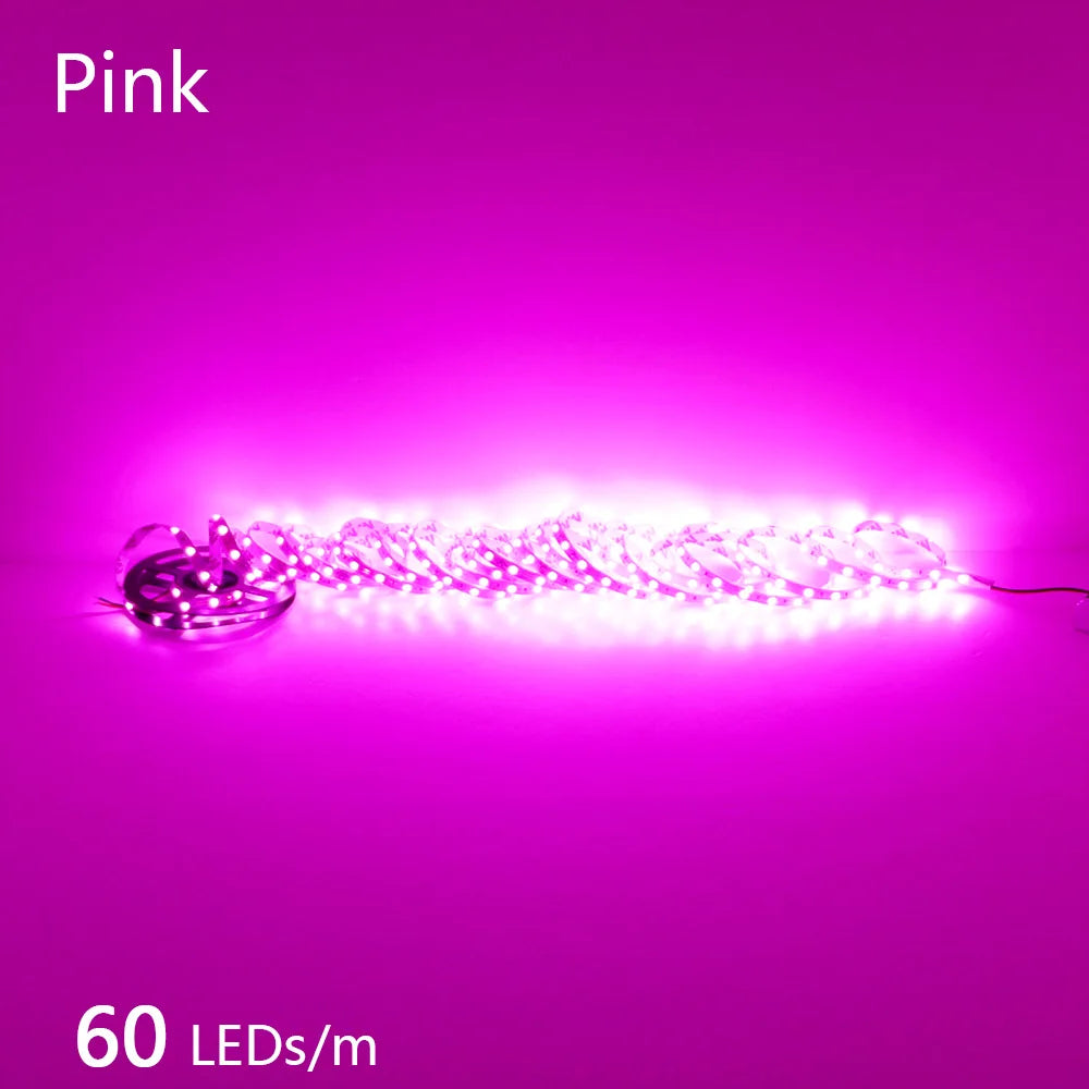 CowLost | 2835-5m-300-600-1200leds-led-strip-dc12v-24v |23