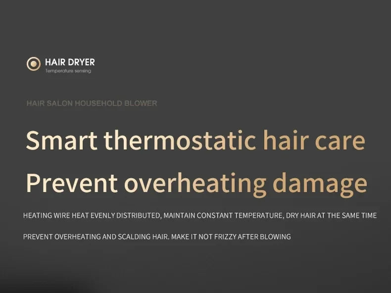 CowLost | product_id-homefish-2000w-ionic-salon-hair-dryer-with-hot-cold-air-brush-5-speeds |14