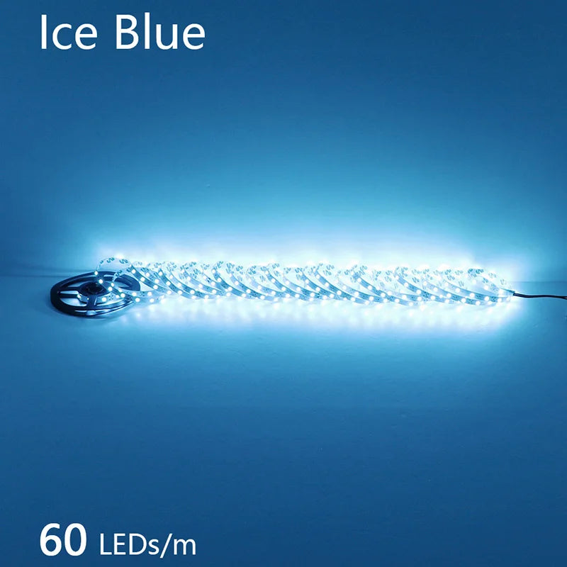 CowLost | 2835-5m-300-600-1200leds-led-strip-dc12v-24v |70