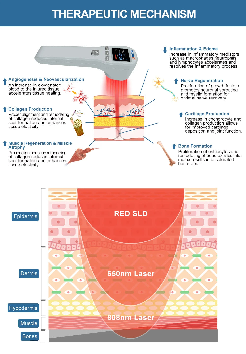 CowLost | mls-cold-sore-laser-device-650nmx16-808nmx4-low-level-cold-laser-therapy-device |14