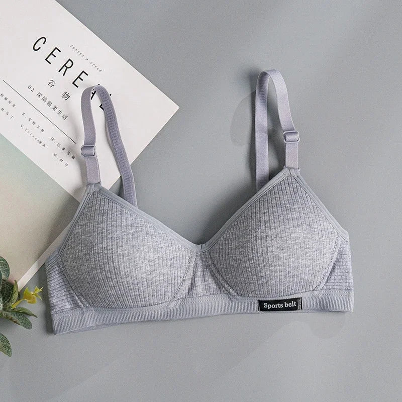 CowLost | product_id-fallsweet-womens-wireless-seamless-push-up-3-4-ab-cup-bra |11