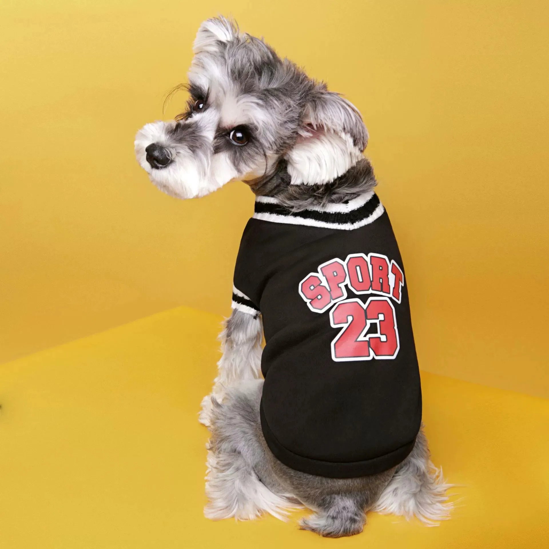 CowLost | activewear-pants-college-style-winter-warm-pet-sweater |4
