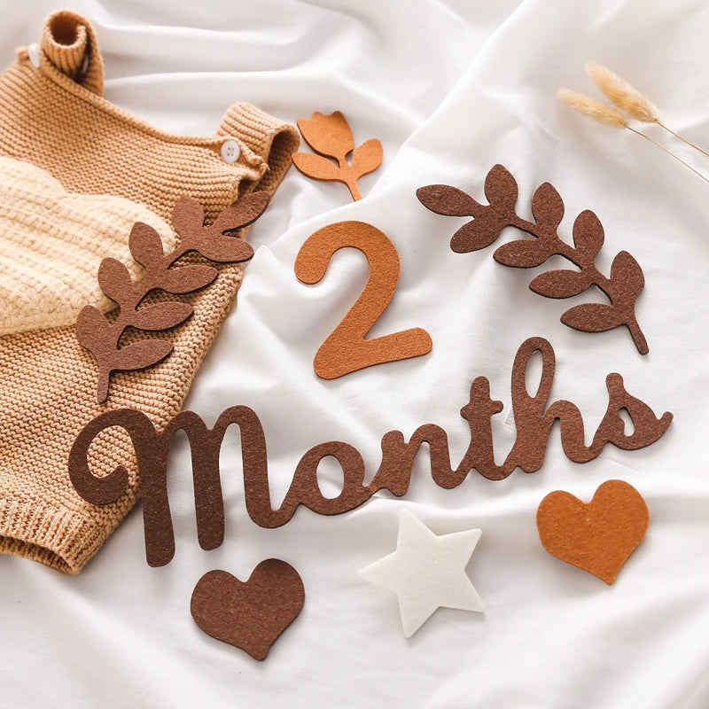 CowLost | baby-transport-accessories-felt-newborn-photography-milestone-props-0-12-months |6