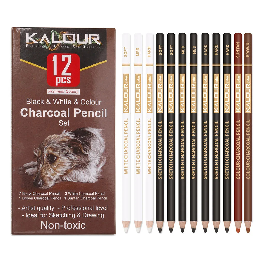 CowLost | charcoal-pencils-product_id-kalour-6-12-carbon-and-white-charcoal-highlight-pencils-for-art-drawing |14
