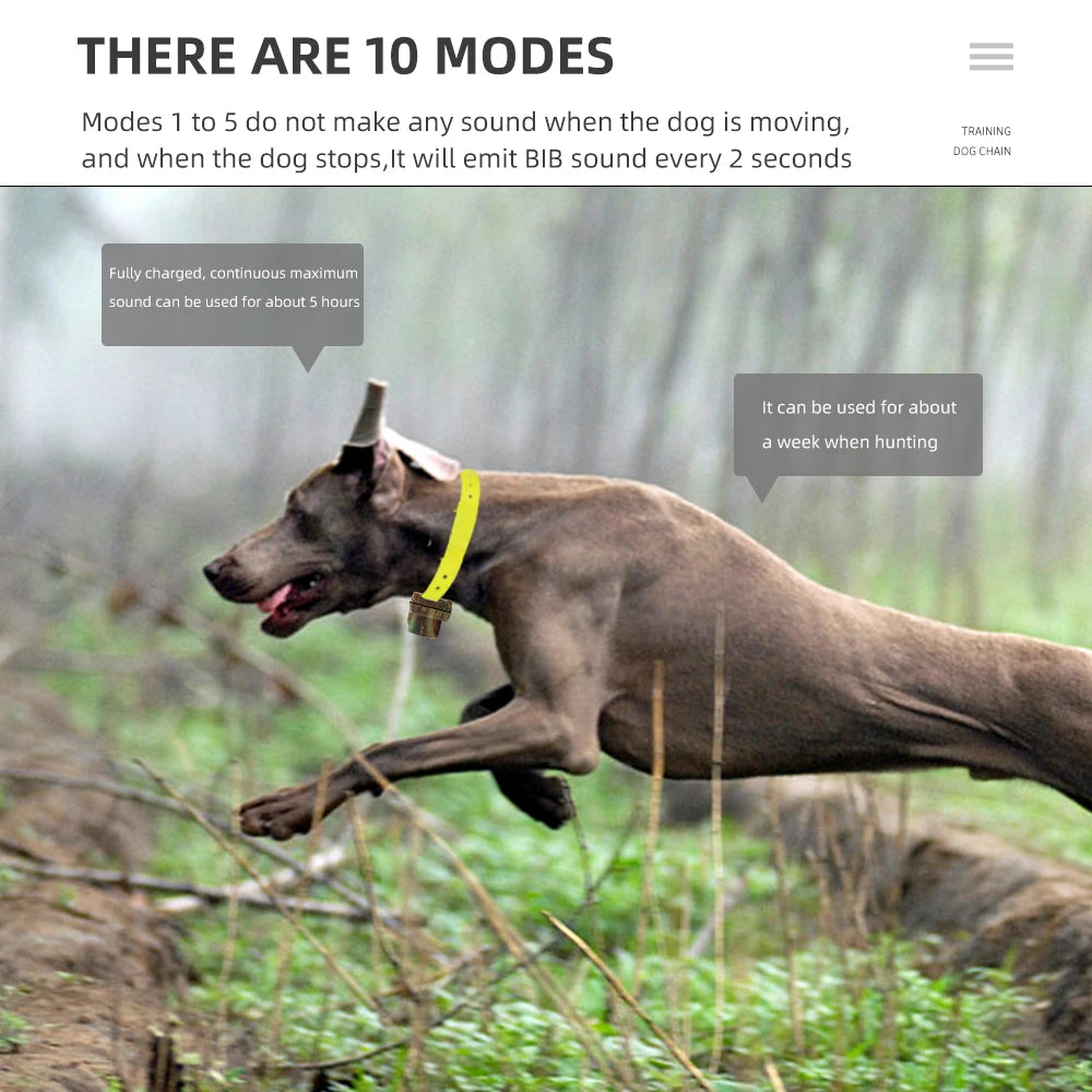 Rechargeable Waterproof Hunting Dog Beeper Training Collar