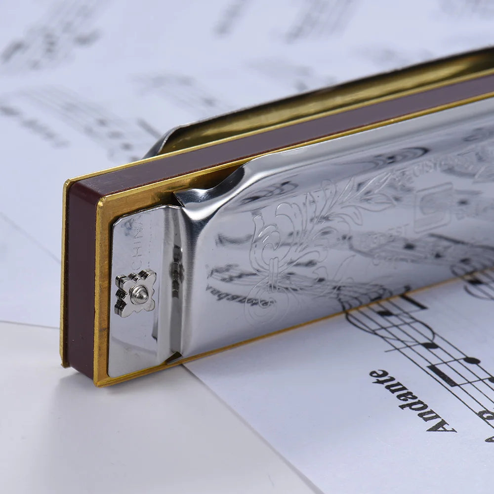 CowLost | product_id-folkmaster-10-hole-diatonic-blues-harmonica-key-of-c-with-20-tones-a-b-e-f-g-standard |13