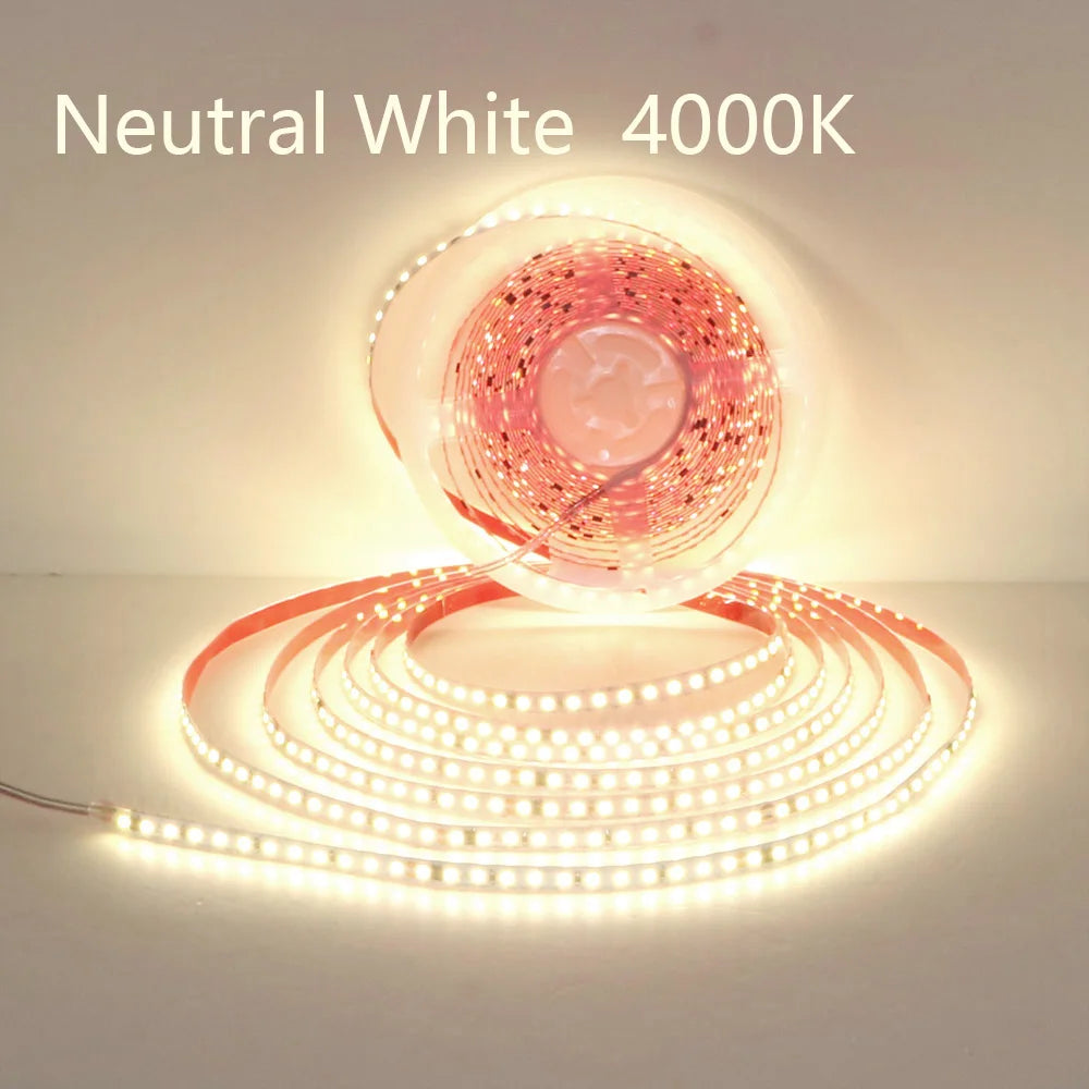 CowLost | 110v-220v-led-strip-2835-120leds-m-home-lamp-strip |16