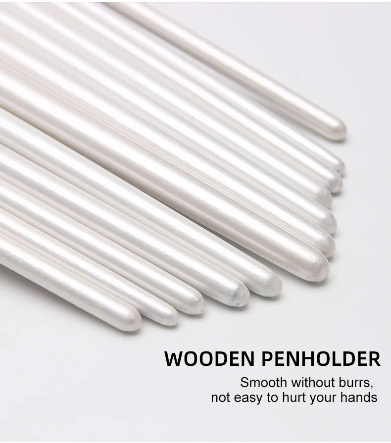 CowLost | 12-piece-nylon-bristle-brushes-set-for-beginners |15