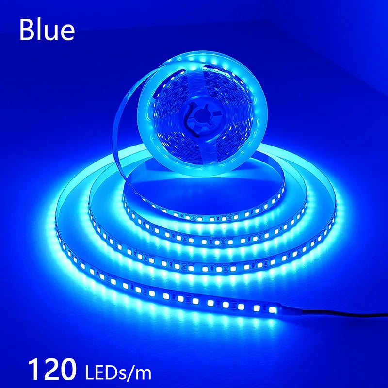 CowLost | 2835-5m-300-600-1200leds-led-strip-dc12v-24v |54