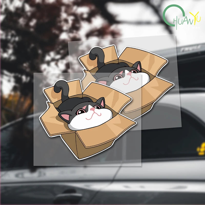 CowLost | box-cat-waterproof-sticker-cute-anime |1