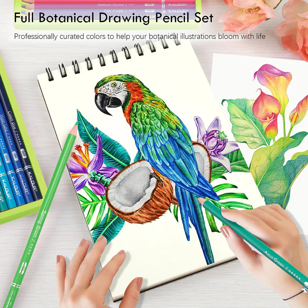 CowLost | product_id-kalour-36pcs-multi-color-oil-based-colored-pencils-for-landscape-botanical-drawing |3