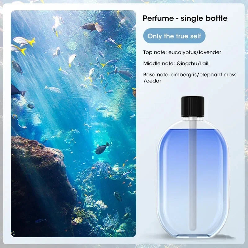 CowLost | product_id-automatic-usb-essential-oil-diffuser-nebulizer-for-home-fragrance-and-deodorization |26