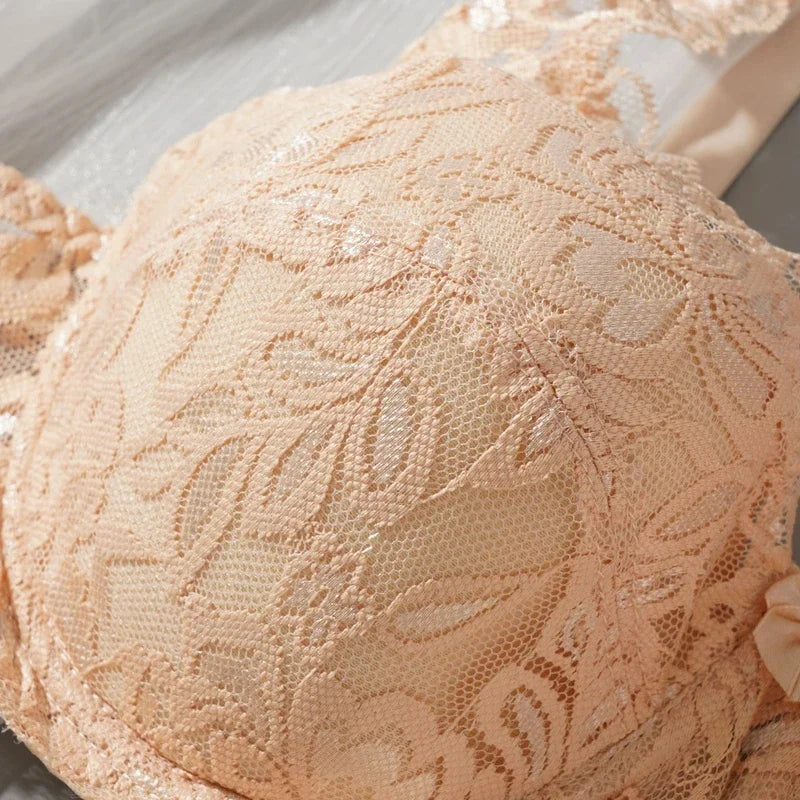 CowLost | women-sexy-lace-bra-push-up-bras-36-42-b-c-cup-plus-size-french-style |8