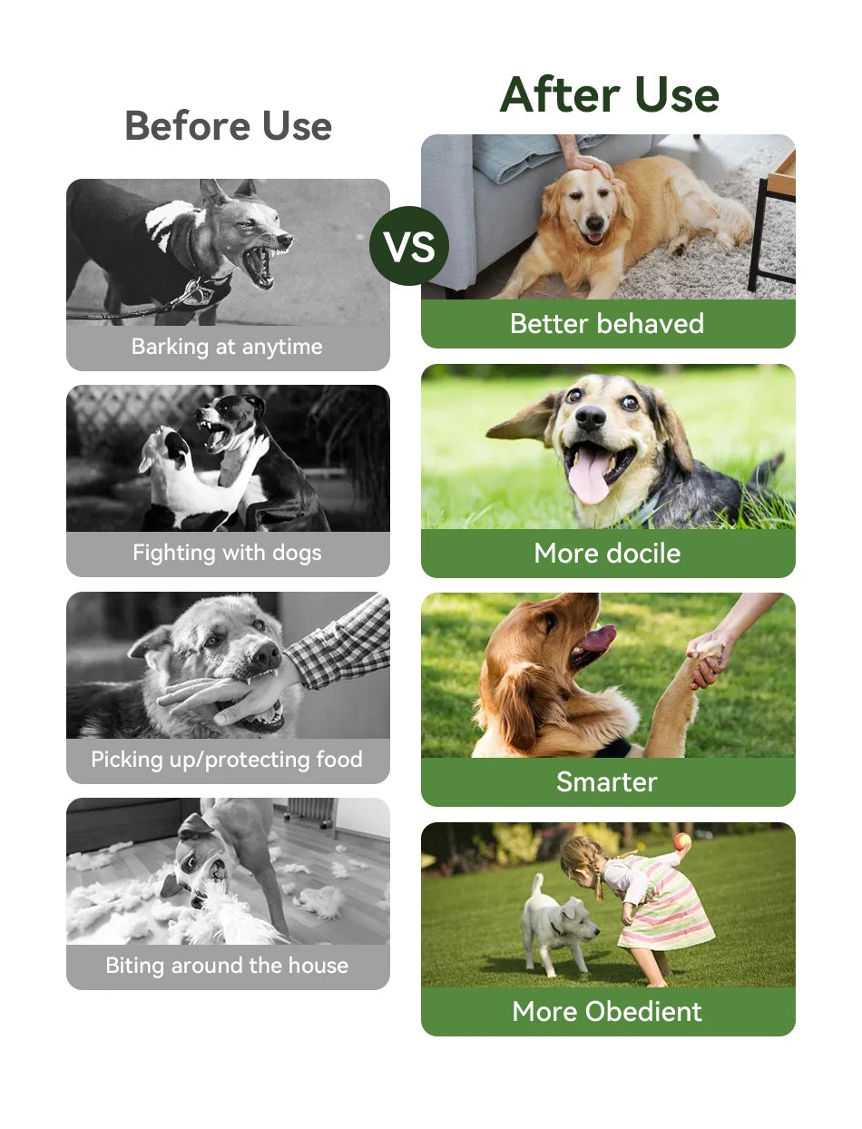 CowLost | dog-diapers-rojeco-ipx7-waterproof-electric-dog-training-collar-with-remote-control |9