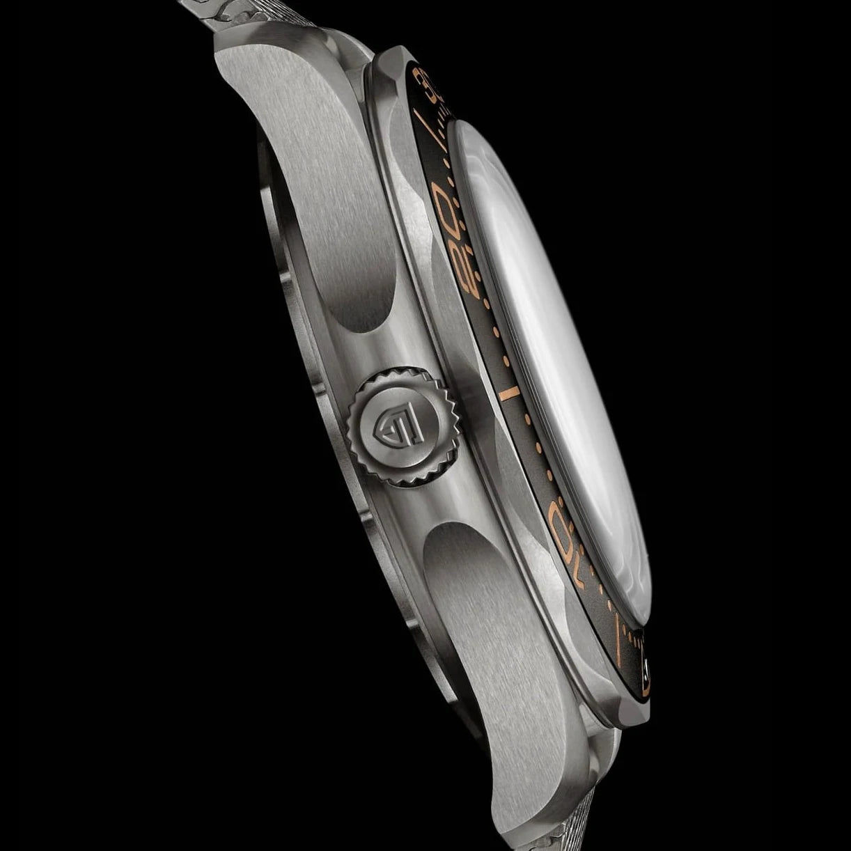 CowLost | pagani-design-007-mens-watches-luxury-automatic-mechanical-watch |5