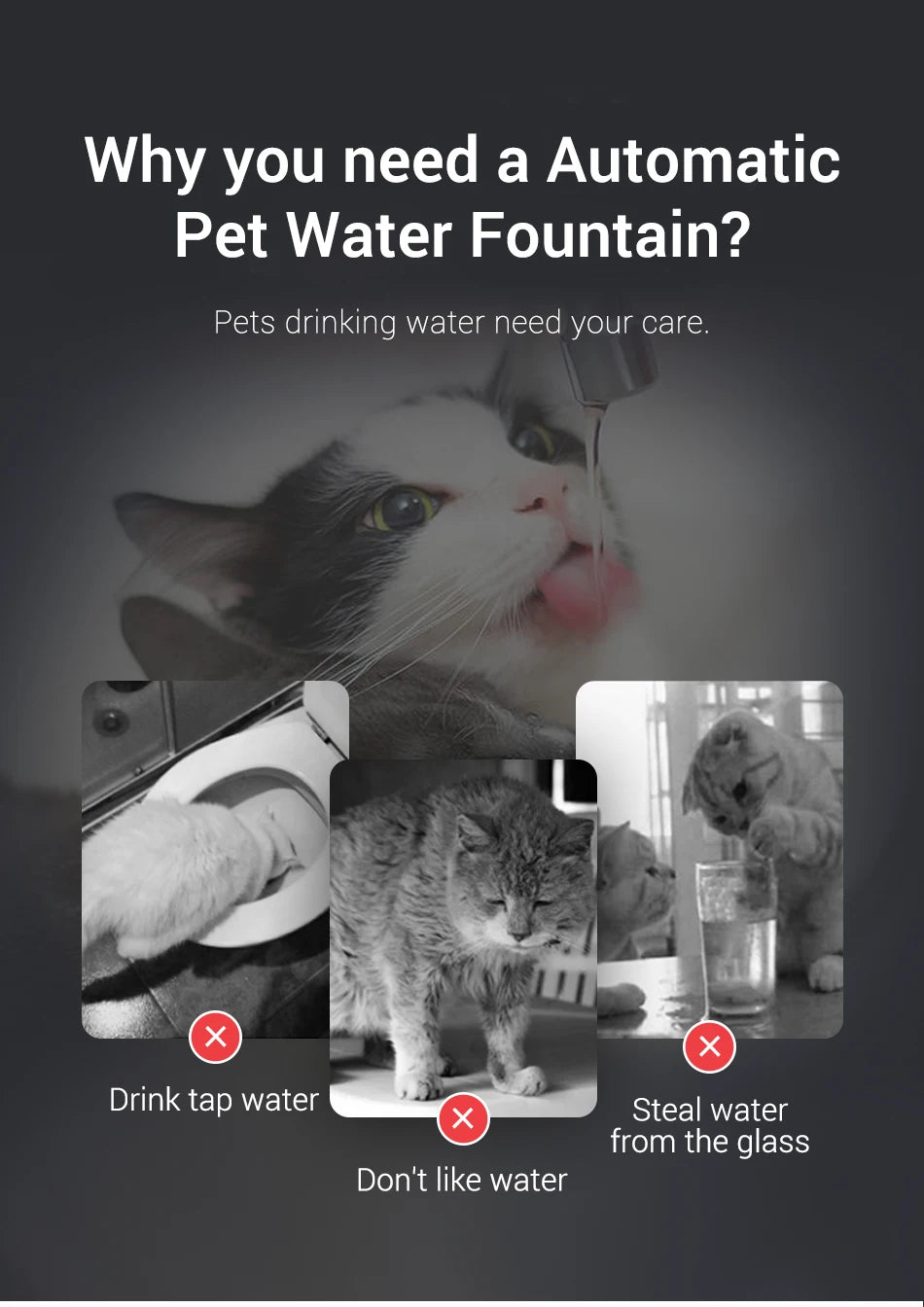 CowLost | cat-food-rojeco-1-5l-automatic-cat-and-dog-water-fountain-with-filter-pump |9