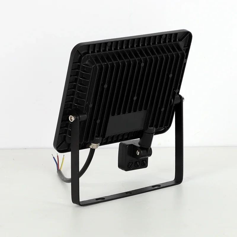 CowLost | 10w-20w-30w-50w-100w-induction-led-flood-light-with-adjustable-pir-sensor |3