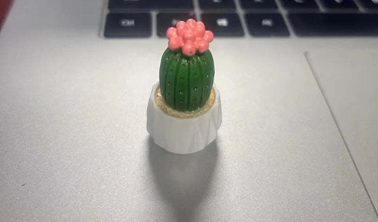 CowLost | product_id-resin-mini-cactus-succulent-car-and-desktop-ornament-gift-toy |12