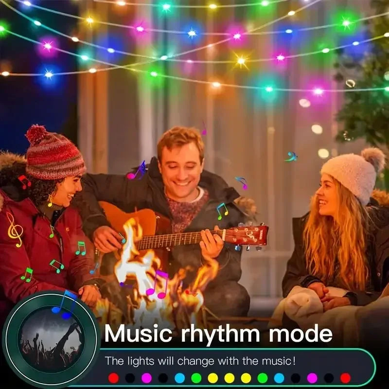 CowLost | led-lights-product_id-usb-rechargeable-waterproof-led-fairy-string-lights-bluetooth-music-app-for-party-decoration |3