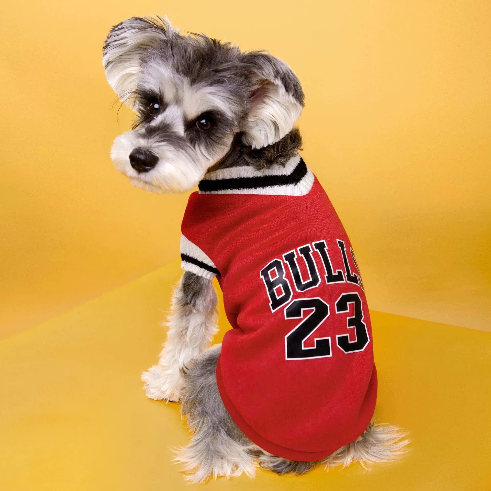 CowLost | activewear-pants-college-style-winter-warm-pet-sweater |7