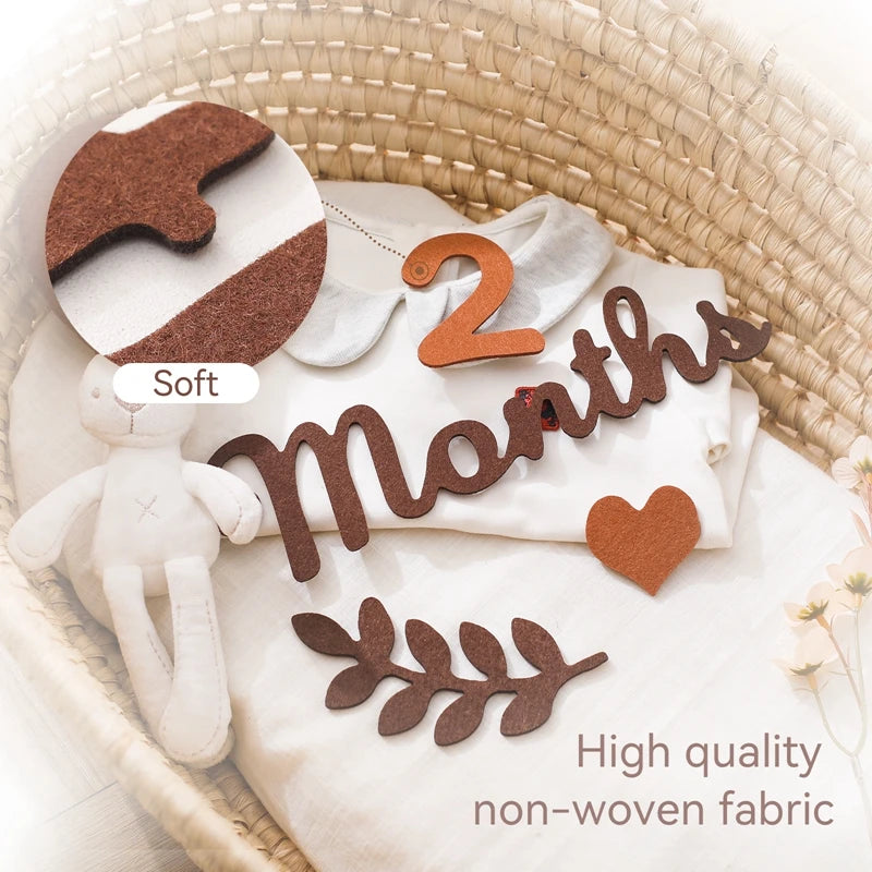 CowLost | baby-transport-accessories-felt-newborn-photography-milestone-props-0-12-months |7