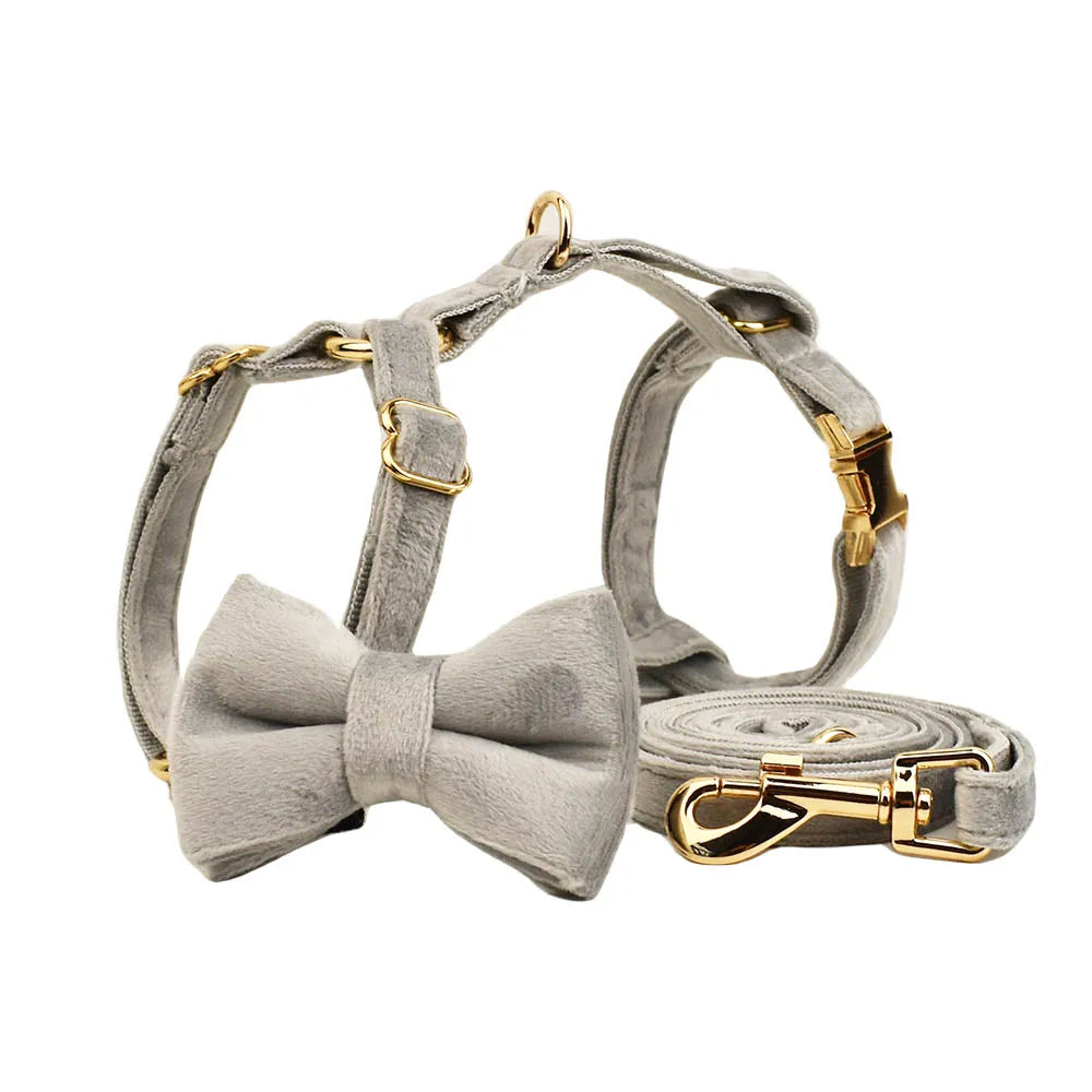 CowLost | cat-furniture-personalized-bowknot-cat-collar-harness-with-bell-and-id-tag |2
