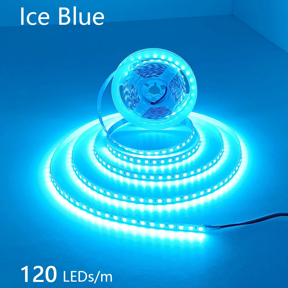 CowLost | 2835-5m-300-600-1200leds-led-strip-dc12v-24v |32
