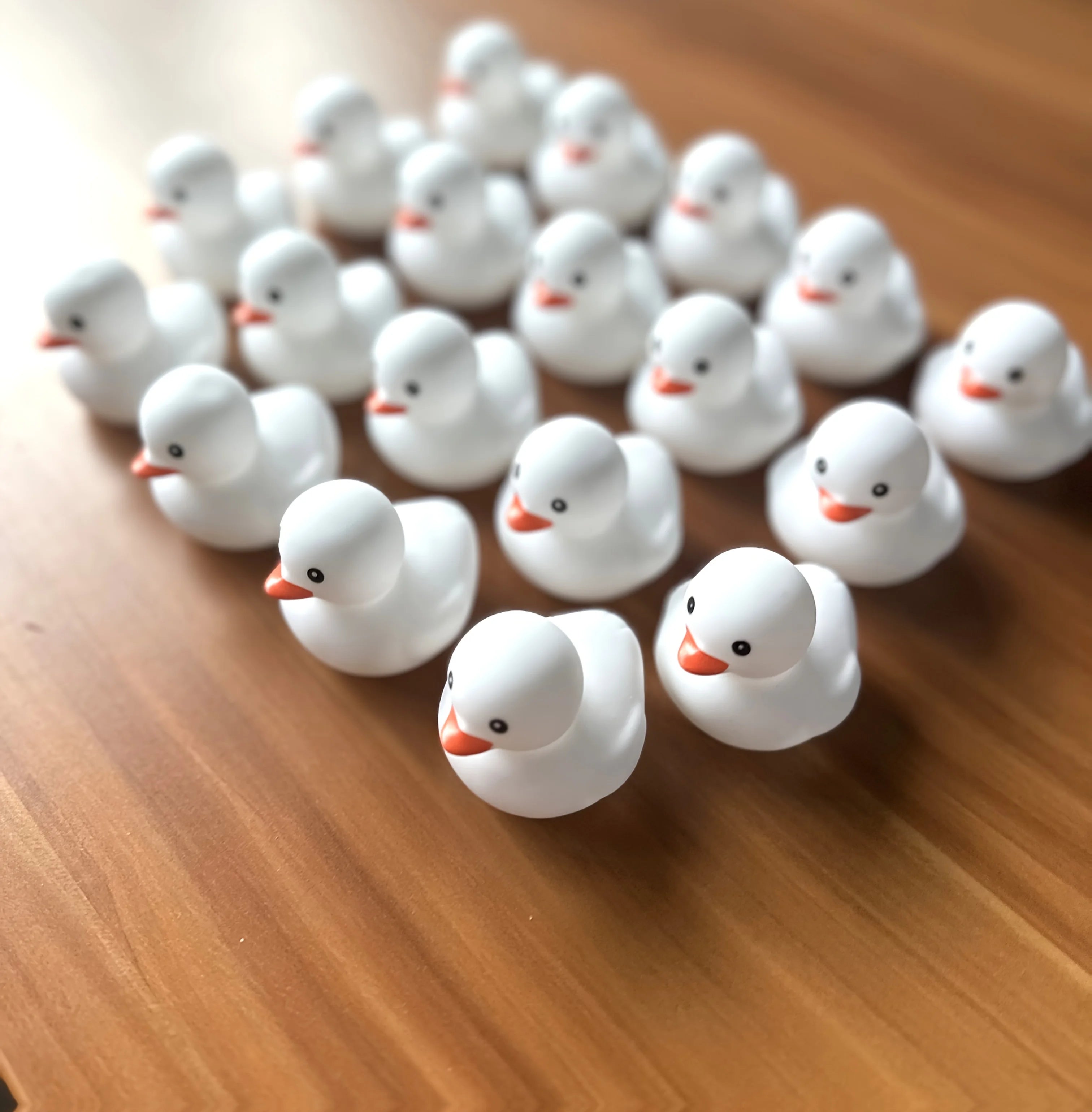 CowLost | product_id-10-200-white-squeaky-rubber-ducks-for-party-favors-prizes-and-car-decor |3