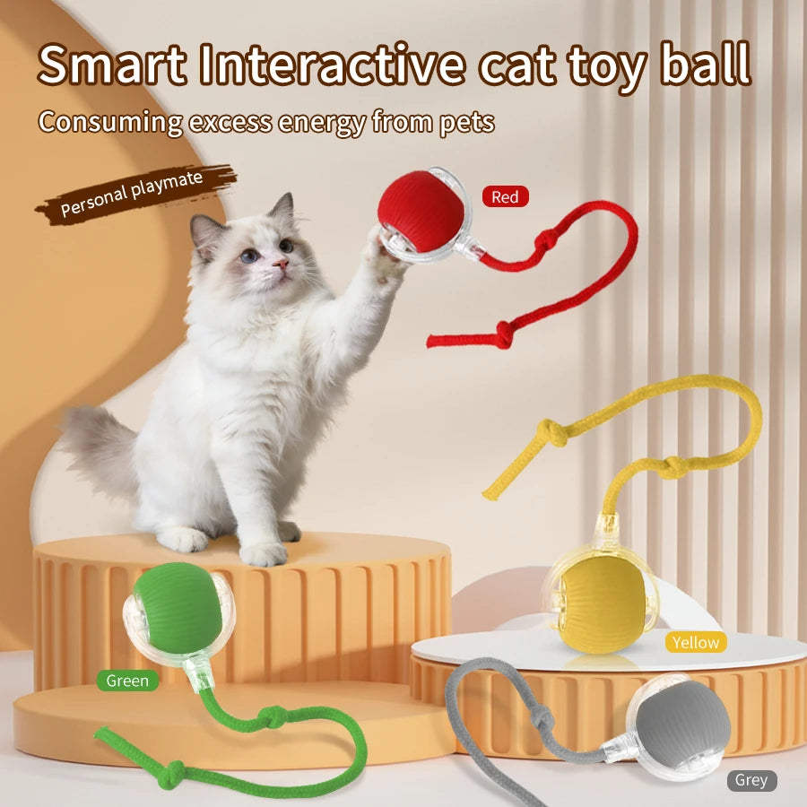 CowLost | product_id-rechargeable-automatic-rolling-ball-interactive-toy-for-cats-and-dogs |1