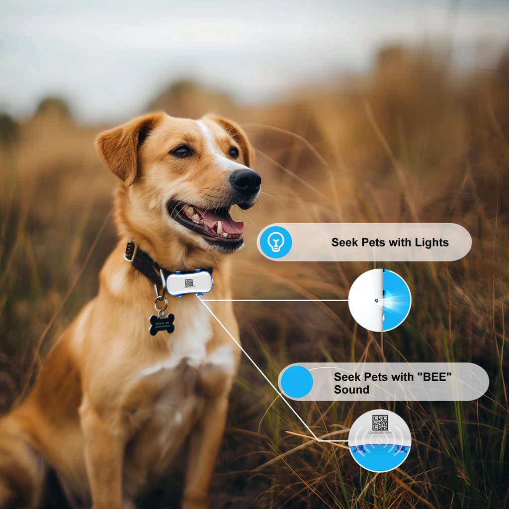 CowLost | pet-supplies-4g-gps-pet-locator-with-fence-alarm-for-safety |4