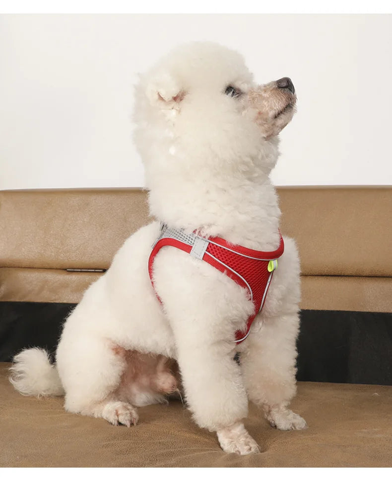 CowLost | dog-diapers-adjustable-harness-and-leash-set-for-small-dogs |14