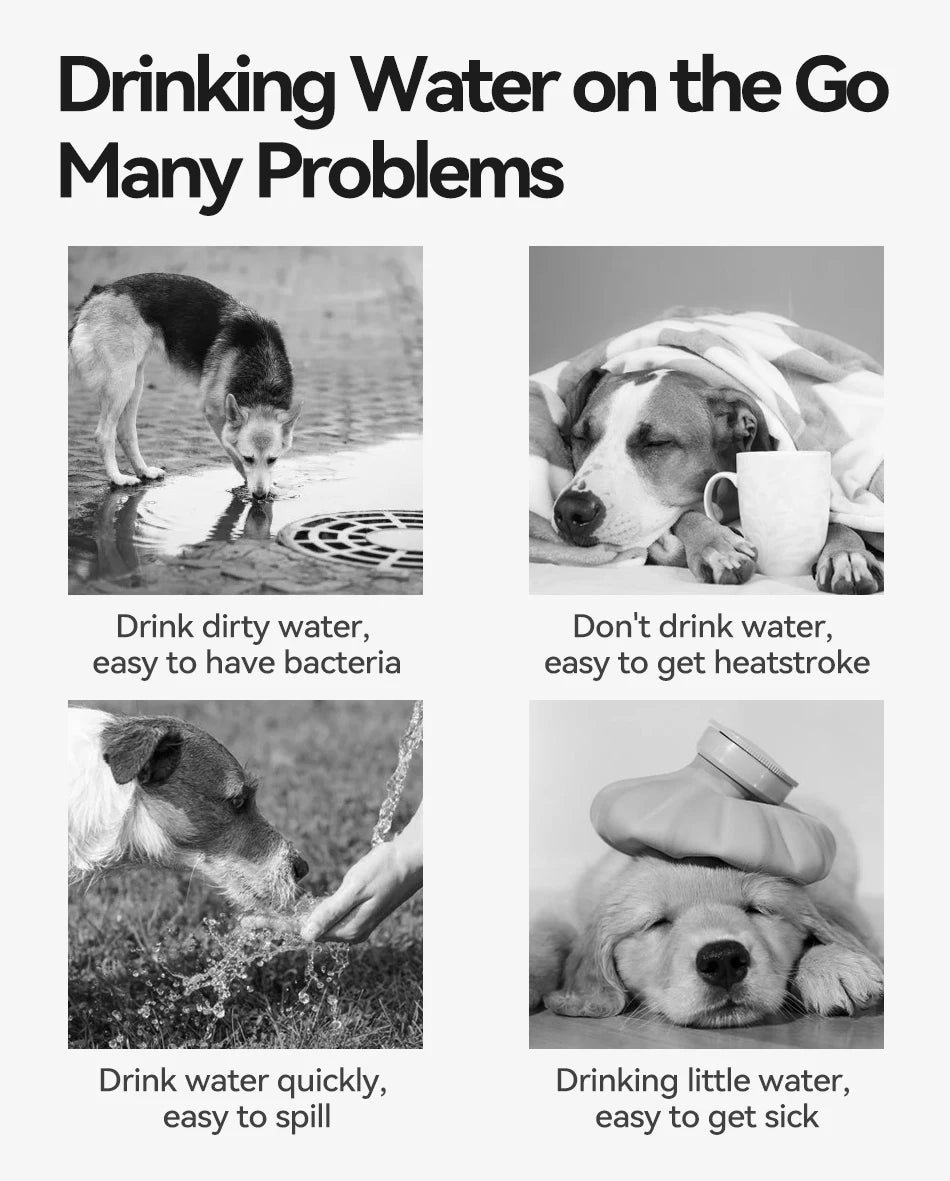 CowLost | dog-diaper-pads-liners-rojeco-foldable-outdoor-pet-water-bottle-500ml-leakproof |9