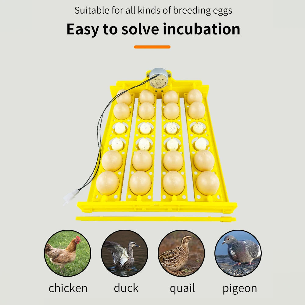 16/24 Eggs Automatic Incubator with Egg Turning AC220V for Chicken and Quail