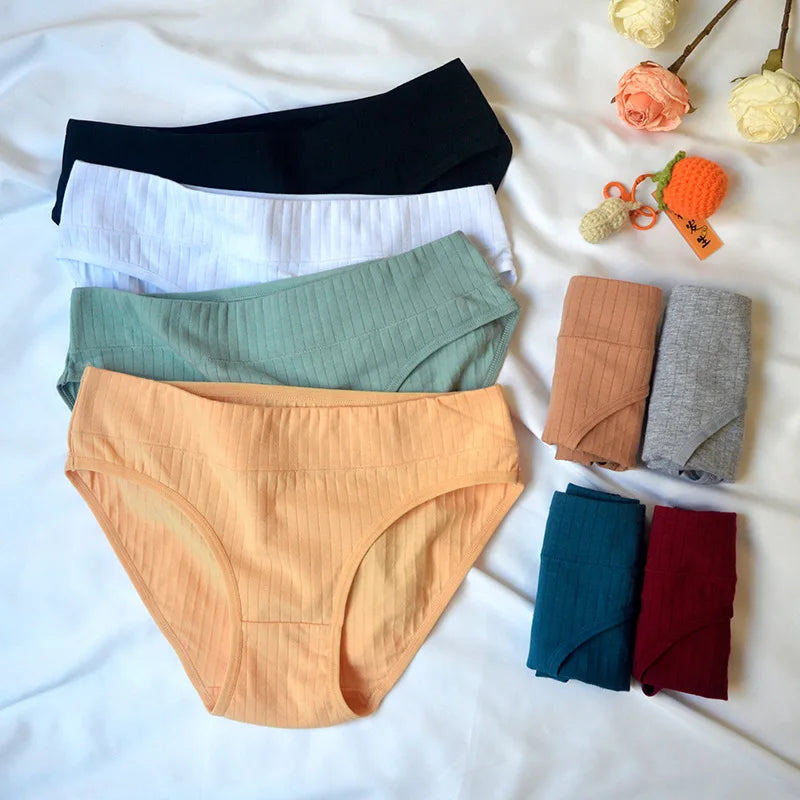 CowLost | product_id-2-pack-women-s-low-rise-cotton-briefs-m-xl-solid-colors-breathable |6