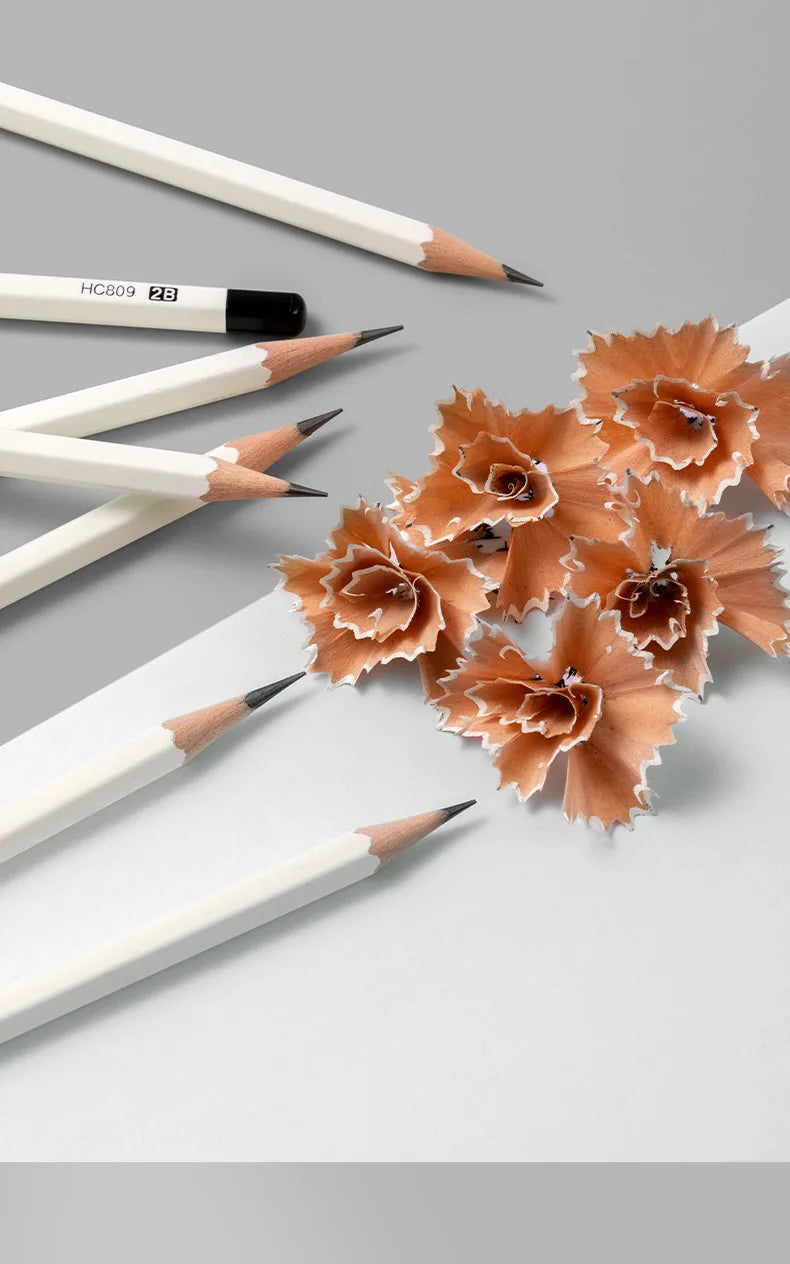 CowLost | product_id-deli-10pcs-white-wood-hexagonal-hb-2b-pencils-set-for-writing-and-painting |7