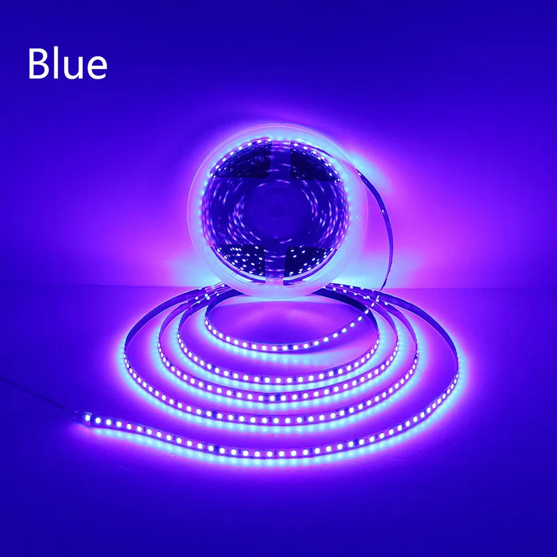 110V 220V LED Strip 2835 120LEDs/m Home Lamp Strip