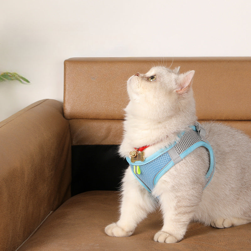 CowLost | dog-diapers-adjustable-harness-and-leash-set-for-small-dogs |10