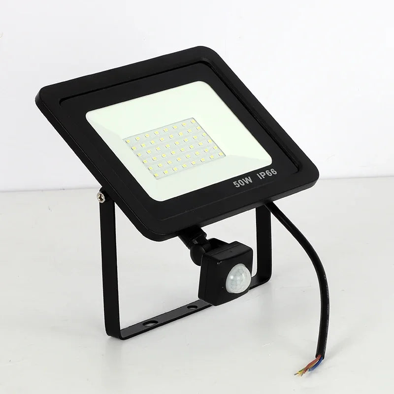 CowLost | 10w-20w-30w-50w-100w-induction-led-flood-light-with-adjustable-pir-sensor |6